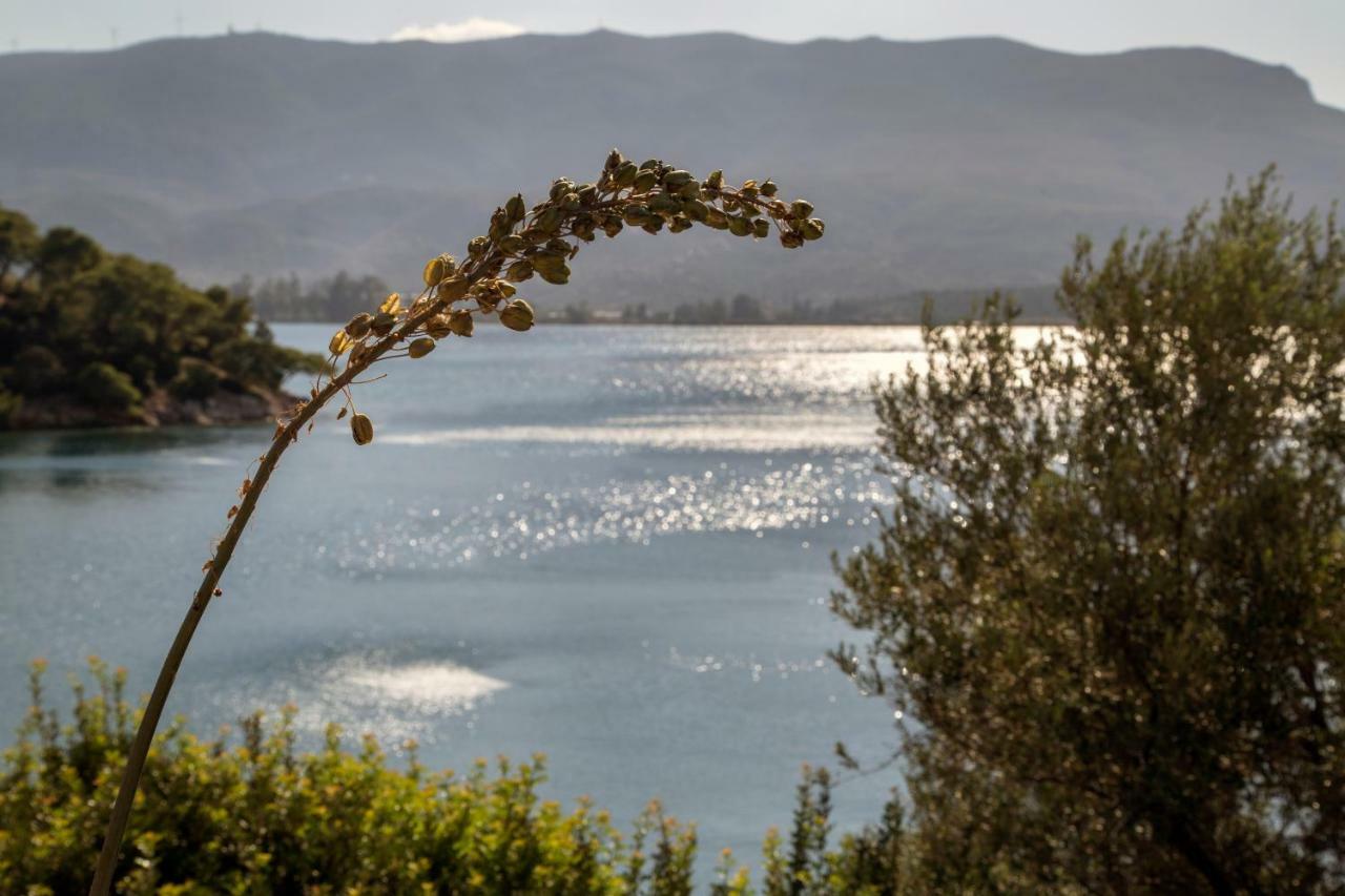 Kalavria Luxury Suites - Magnificent Sea View Of Poros Poros Town Exteriör bild